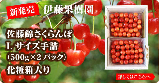 さくらんぼ